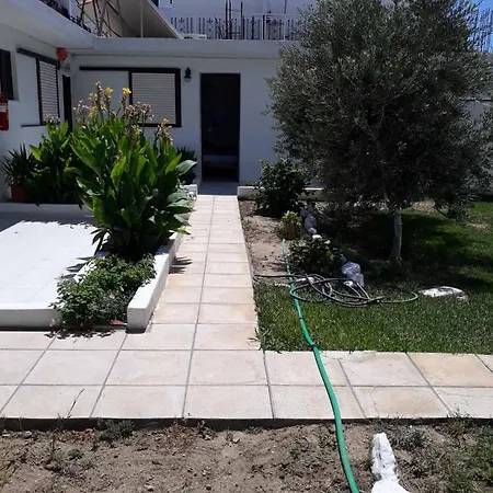 Andavis Hotell Kardamena (Kos)
